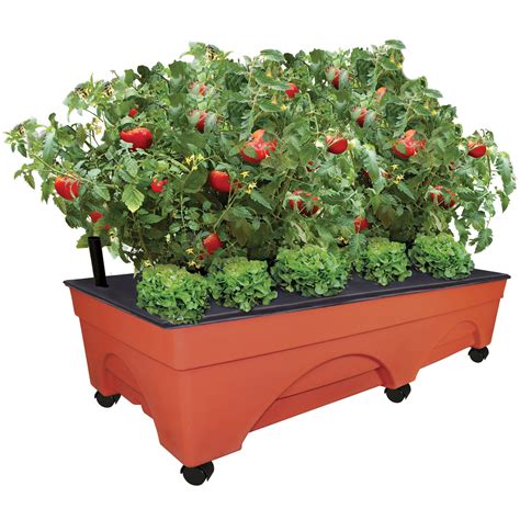 Emsco Group 3340 Big City Pickers Patio Garden Grow Box, 20" x 48", Terra Cotta - Walmart.com ...