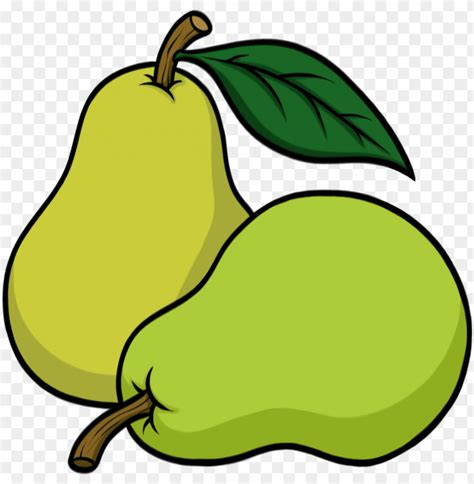 Download artridge in a pear tree clipart library clip art pear png ...