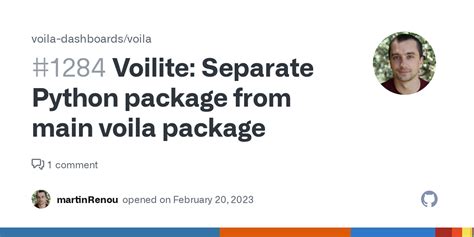 Voilite: Separate Python package from main voila package · Issue #1284 ...