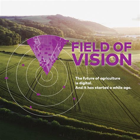 Field of Vision