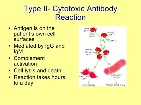 Hypersensitivity - Emergency Room Treatment