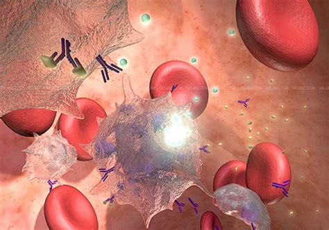 Inflammatory Reaction and Response 3D Illustration