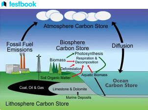 Geochemistry: Branches, Mineral Constituent, & Applications