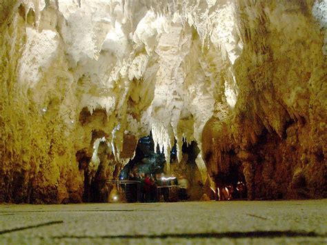 The Waitomo Glowworm Caves, New Zealand - Unique Places around the World - WorldAtlas