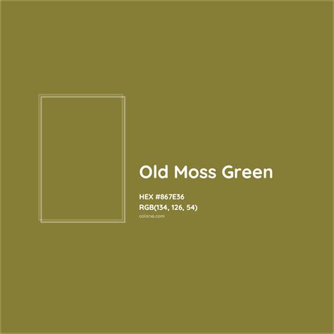 Old Moss Green Complementary or Opposite Color Name and Code (#867E36) - colorxs.com