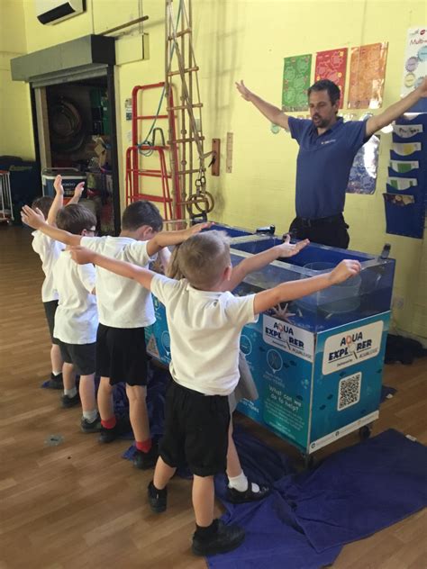 AquaExplorer Rockpool Experience, Oughtibridge Primary School - Aqualease