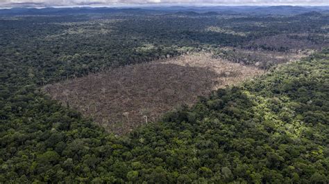 Deforestation Fronts | WWF