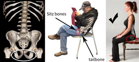 Sitting - Posture Makeover