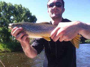 Saratoga Wyoming Fishing Report - High Plains Fly Fishing