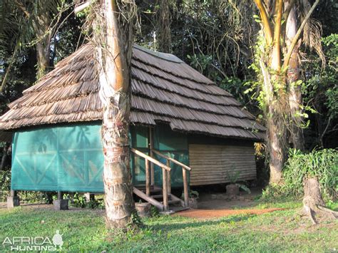 Hunting in Uganda at Lake Albert Safari Lodge | AfricaHunting.com