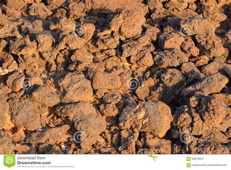 Dry Lava Basaltic Rock stock photo. Image of closeup - 56919624