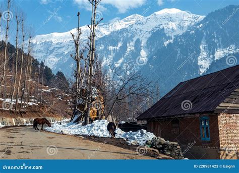 Beautiful Landscape View of Kashmir Valley and Village, Kashmir Stock ...