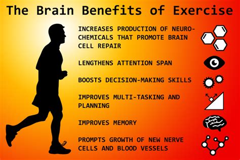 How Does Exercise Boost Your Brain Health? | Bariatric Direct