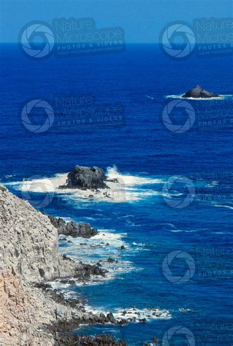 Stack. San Pietro Island. Sardinia. Italy - Stack - Erosion phenomena - Rocks and Petrology - Photos