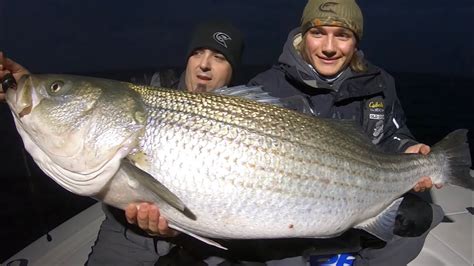 Striper Fishing Tips. How to boat BIG Striped Bass! Chesapeake Bay ...