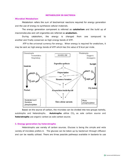 Metabolism in Bacteria - Microbial Biochemistry - Studocu