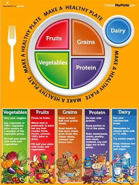 My Plate Poster MyPlate Poster | Etsy