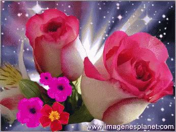 Pink Flowers GIF - Pink Flowers Red - Discover & Share GIFs