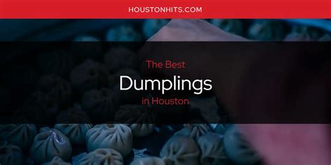 The Absolute Best Dumplings in Houston [Updated 2024]