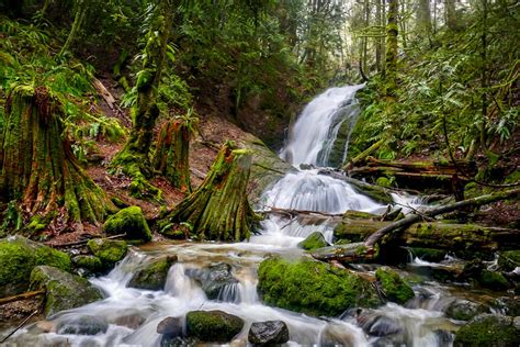 15 Beautiful Washington Waterfalls Near Seattle - Go Wander Wild