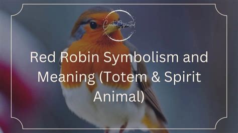 Red Robin Symbolism and Meaning (Totem & Spirit Animal)