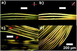 Continuous spinning aligned liquid crystal elastomer fibers with a 3D printer setup - Soft ...