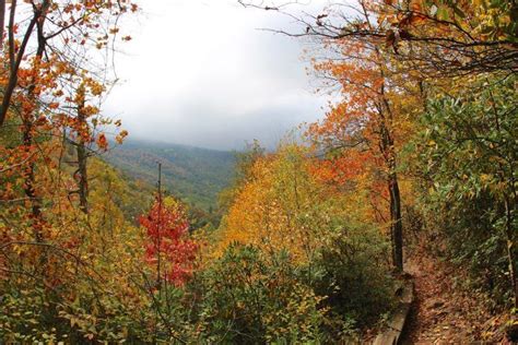 Ever wondered about best time to see Virginia's fall foliage? This map ...