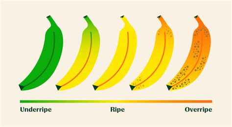 How To Quickly Ripen Bananas: 6 Ways Explained – Instacart