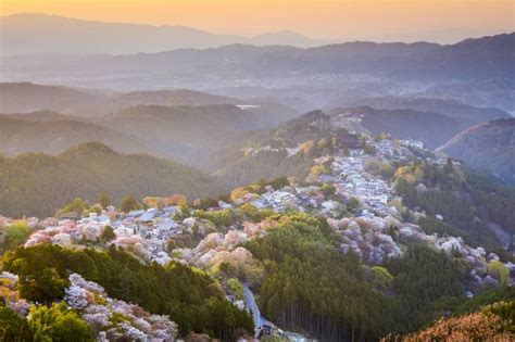 Mount Yoshino: Explore Japan's Best Cherry Blossom Spot | Japan Cheapo