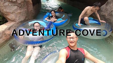 Adventure Cove 2019 | Cinematic Video - YouTube