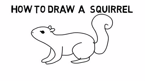 Squirrel Sketch Picture- How To Draw A squirrel Sketch Picture Video demo latest tutorial - YouTube