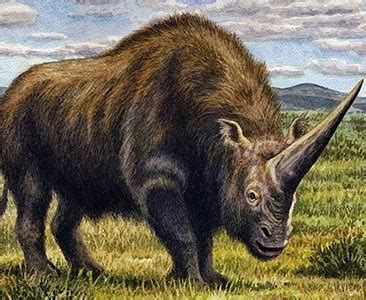 Extinction of large mammals in the Late Quaternary Ice Age | Natural History Museum