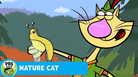 NATURE CAT | *NEW EPISODES* of Nature Cat start Monday, July 11th | PBS ...