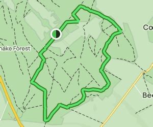 Heart of Savernake Forest Circular: 87 Reviews, Map - Wiltshire, England | AllTrails