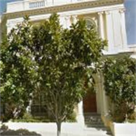 Gordon Getty's House in San Francisco, CA (Google Maps) (#2)