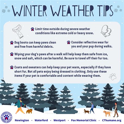 Winter Safety Tips Printable