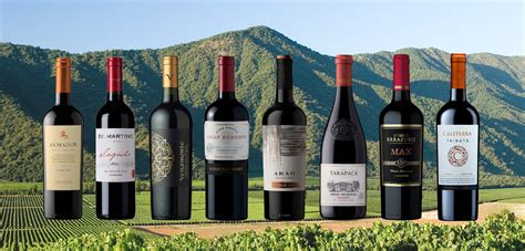 $15 wines that taste like $50: Chilean carmenere - JamesSuckling.com