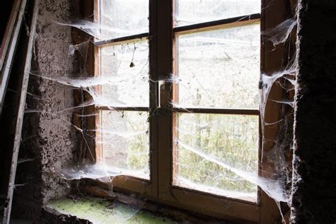 The Real Reason There are Cobwebs in Your House | Rent. Blog