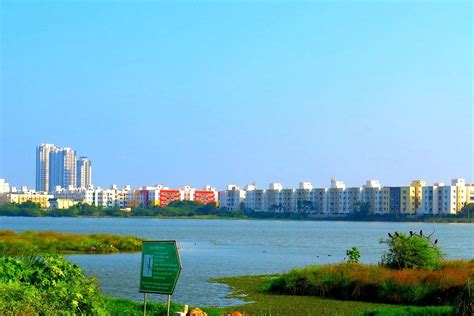 Chennai's Lakes Revitalisation: CMDA Appoints Consultants To Prepare Project Reports For 10 Lakes