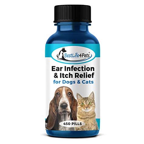 Top Rated Best Oral Antibiotic For Dog Ear Infection - Spicer Castle