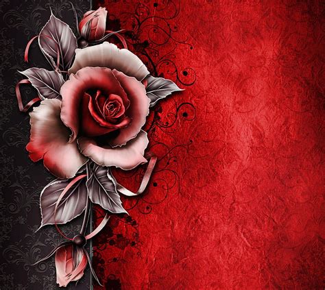 Rose, background, red, HD wallpaper | Peakpx