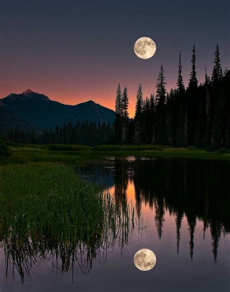 A beautiful night time shot of Mother Nature. | Nature photography ...