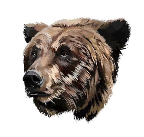 Premium Vector | Bear head portrait from multicolored paints Colored ...