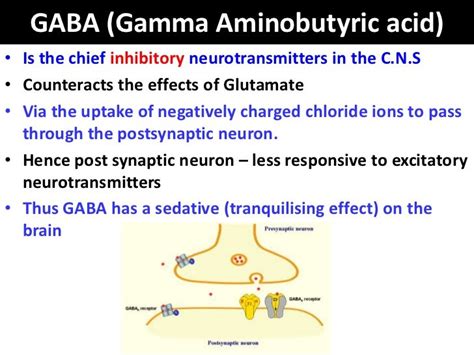 Gaba & benzodiazepines