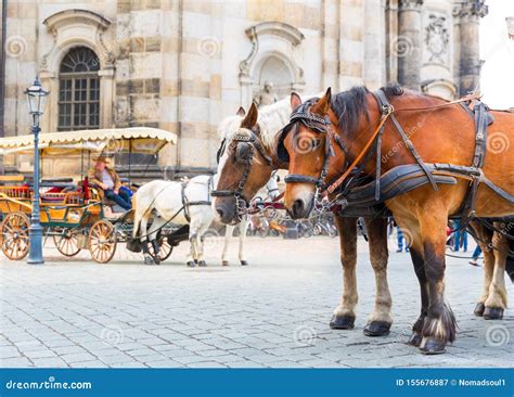 Tour Horses in Old European Town Editorial Photography - Image of ...