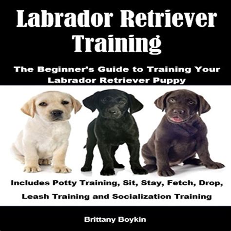 Labrador Retriever Training: The Beginner's Guide to Training Your ...