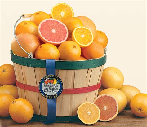 Florida Gifts, Florida Citrus, two peck basket, oranges, grapefruit