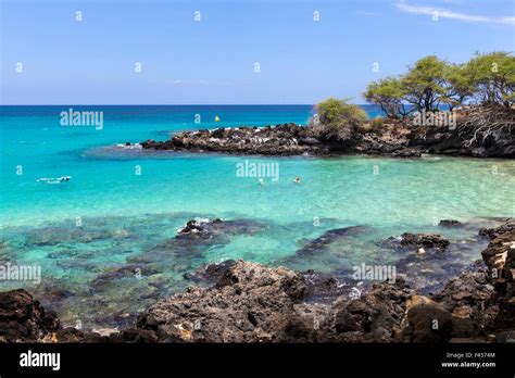 Tourists swimming and snorkeling at Hapuna Beach, Kohala Coast, Hawai'i, USA Stock Photo - Alamy