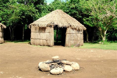 Resultado de imagen para bohio | Maison traditionnelle, Puerto rico, Feuille palmier