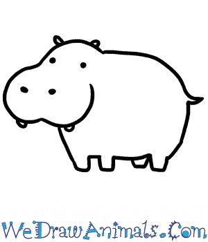 How to Draw a Baby Hippopotamus